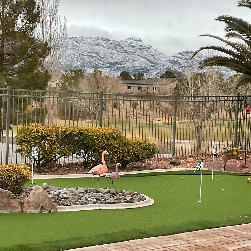 Meet your Posher, Debra